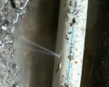 红塔卫生间测漏水多少钱