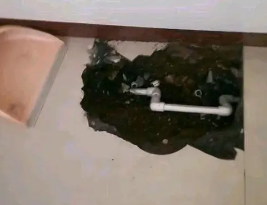 红塔卫生间测漏水多少钱
